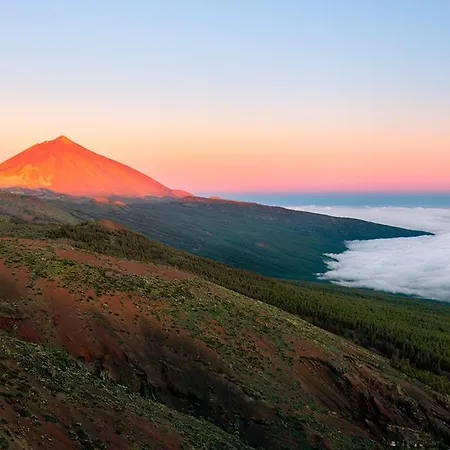 Location P, Terrace With Pool View, Sunny, Quiet, Wifi Lägenhet Playa de las Americas (Tenerife)